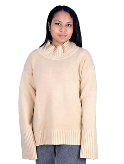 Turtle Neck Oversized Jumper